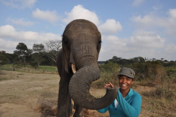 Sonia w Elephant Zimbabwe