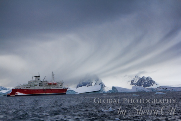 mpgAntarctica 4