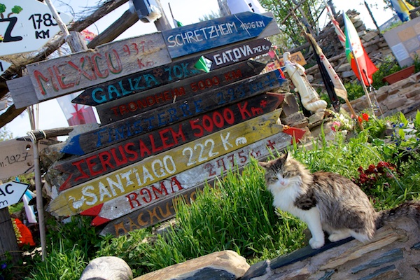 plan cat direction